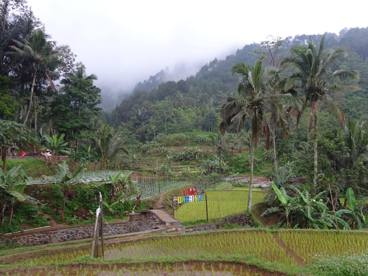 Gunung di jawa barat dengan jalur pendakian yang mudah dan pendek
