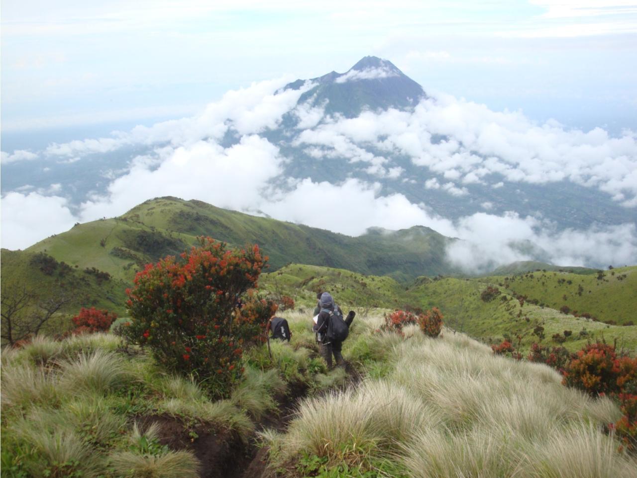 Java island hiking volcano andong indonesia mount Java island hiking volcano andong indonesia mount