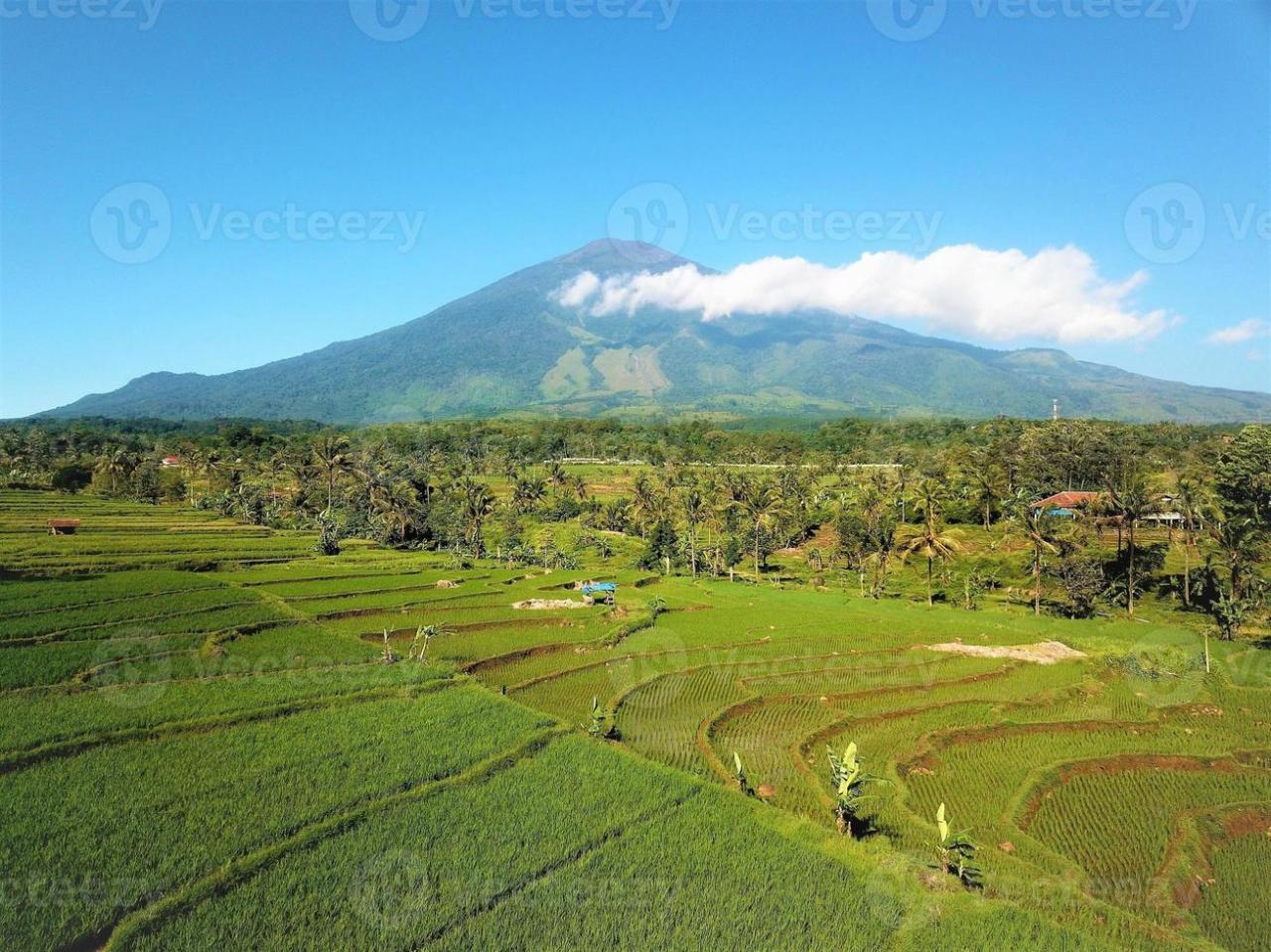 Gunung dengan pemandangan indah dan mudah didaki di jawa tengah