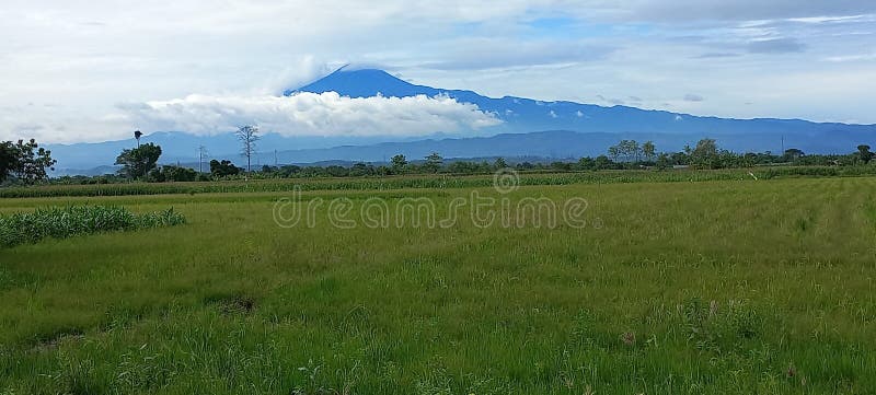 Rute pendakian gunung yang ramah pemula di jawa tengah