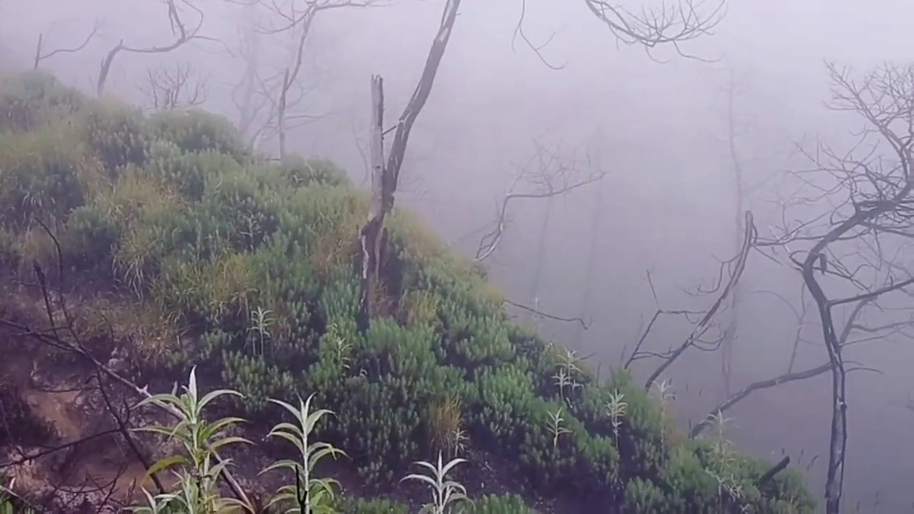 Waktu pendakian gunung ciremai via jalur linggarjati yang paling ideal