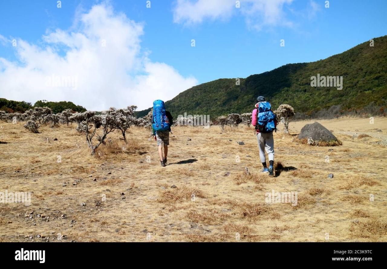 Gunung di jawa barat dengan jalur pendakian yang mudah dan pendek