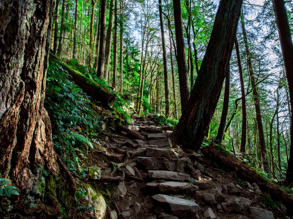 Trails nashville hike waterfalls tn hikes thrillist tall Trails nashville hike waterfalls tn hikes thrillist tall